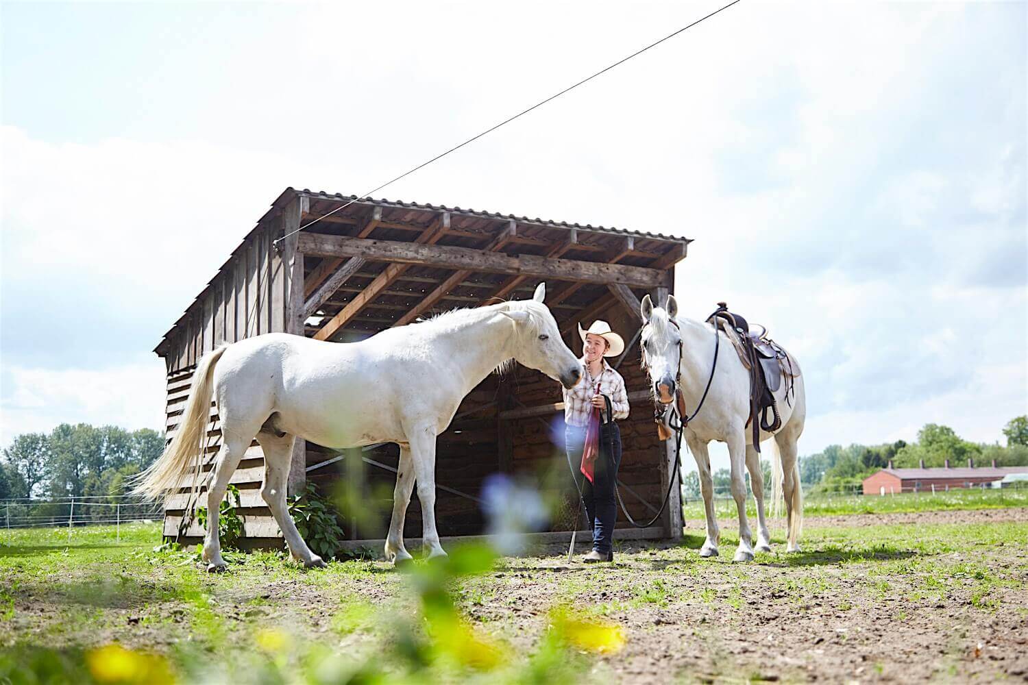 Rasmus Schübel Fotograf Münster Sabine Bühlmann Pferdetrainerin Marke Website professionelles Portrait Horsemanship mit Pferd entspannt