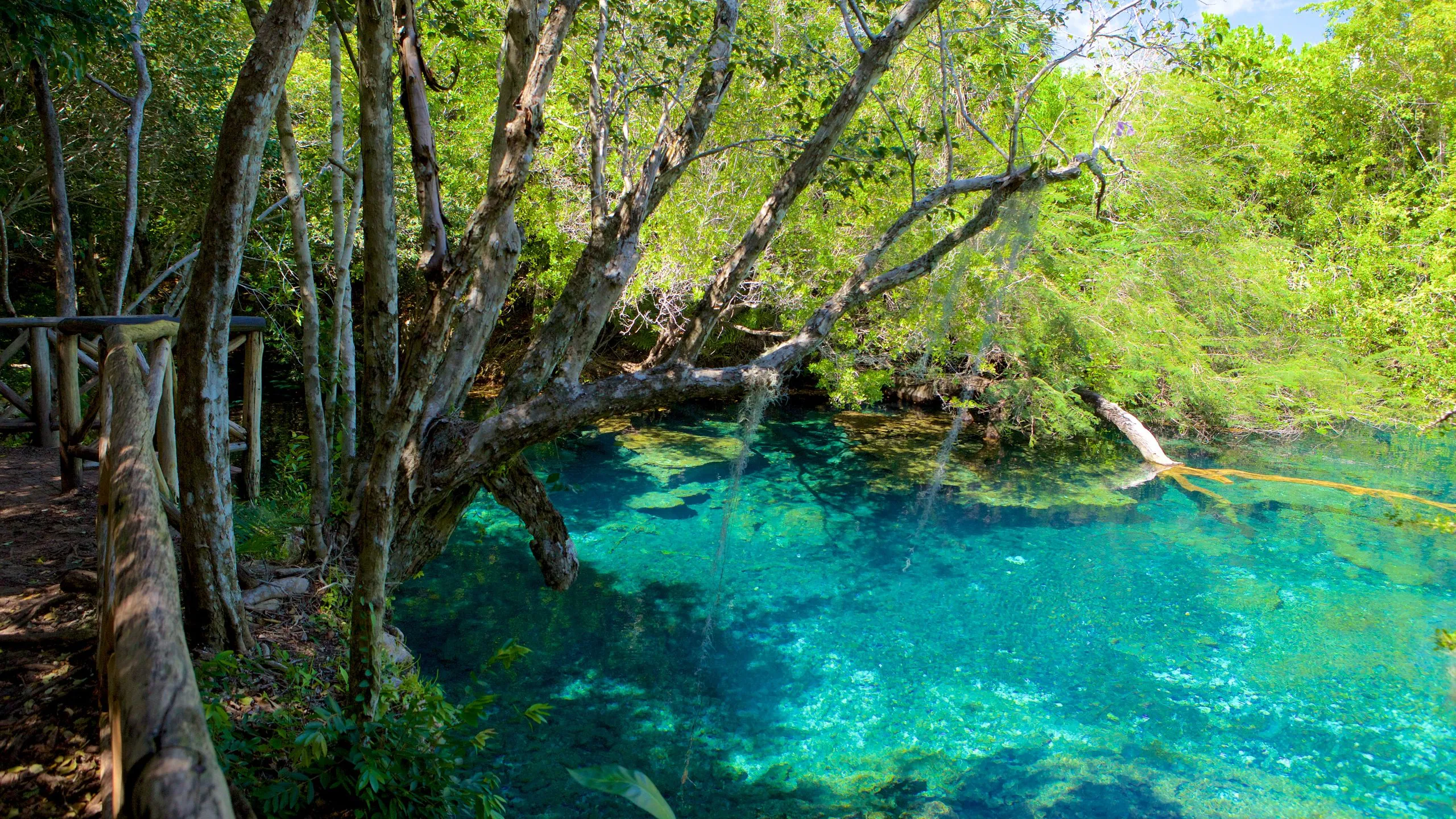Scape Park & Hoyo Azul