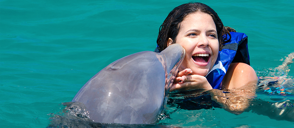 Dolphin Explorer