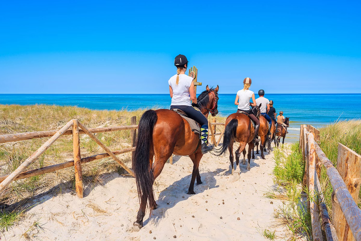 Horseback Riding en Macao