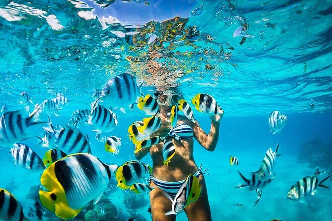 Catalina Island Snorkeling