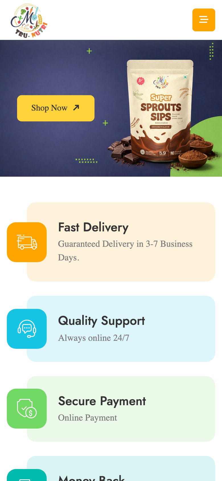 On a phone: a compact header with a menu button, and the home page points stacked in one column.