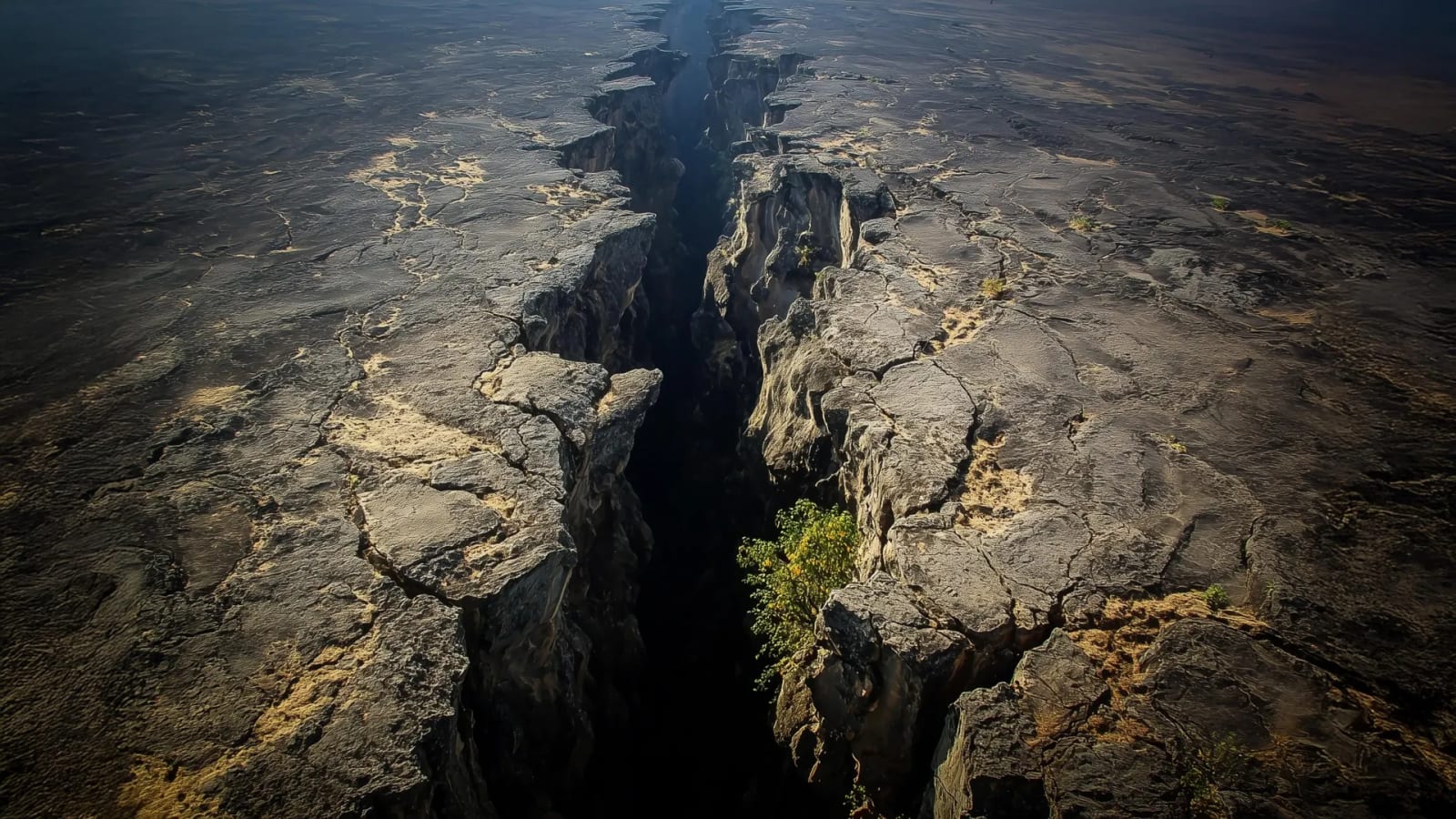 Ғалымдар: Африка құрлығы ойлағанымыздан да тезірек бөлініп жатыр