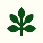 Bellurelle logo