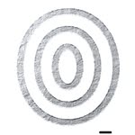 Malee Natural Science logo