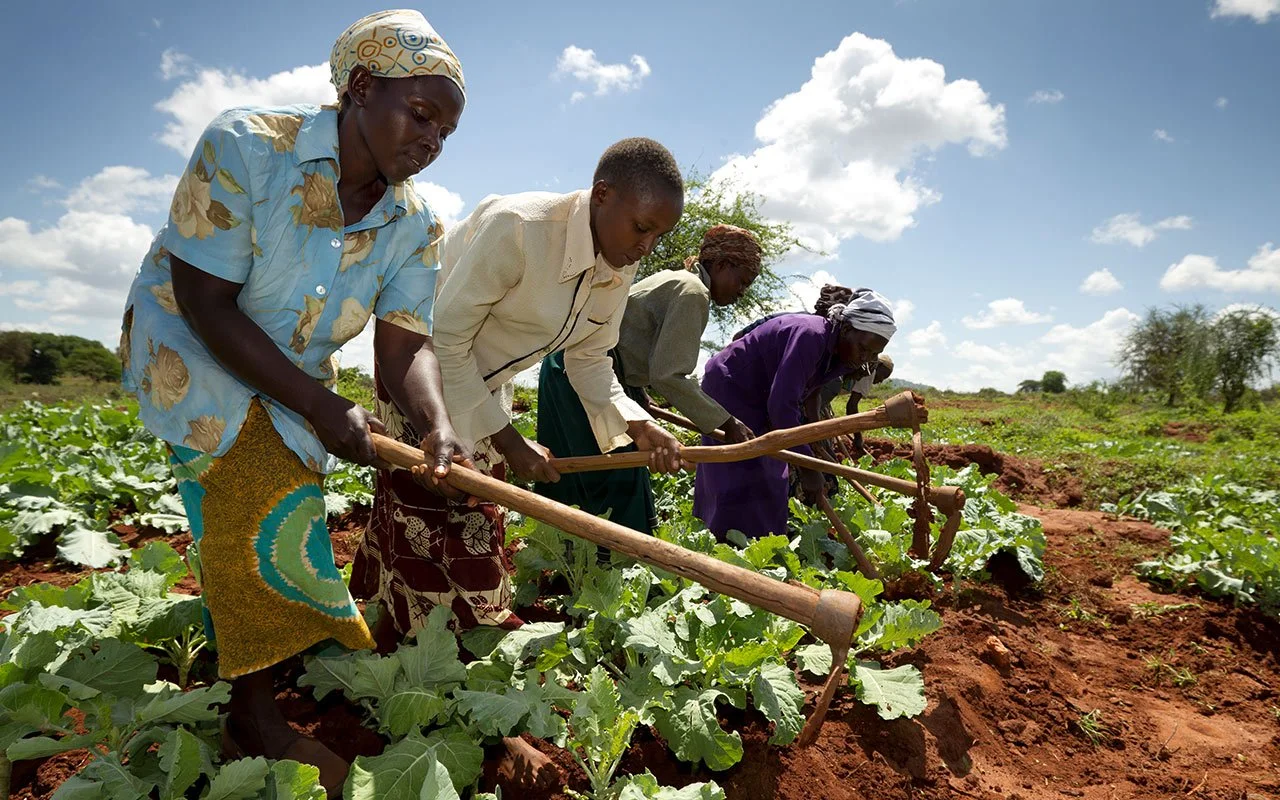 5 Real Ways to Invest in Africa’s Future — Inspired by Burkina Faso