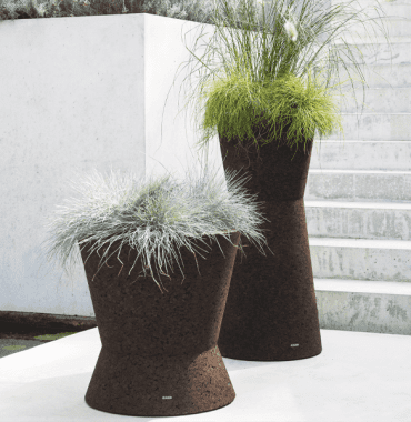 Item - Pots Bush on outdoor 