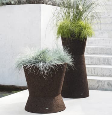 Item - Pots Bush on outdoor 