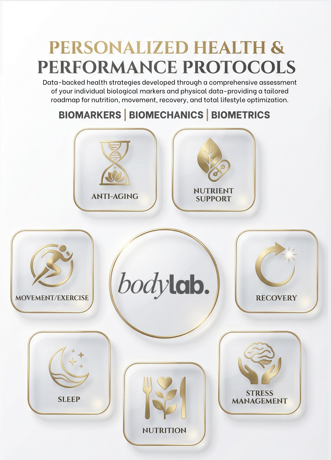 Body Lab Personalized Health & Performance Protocols