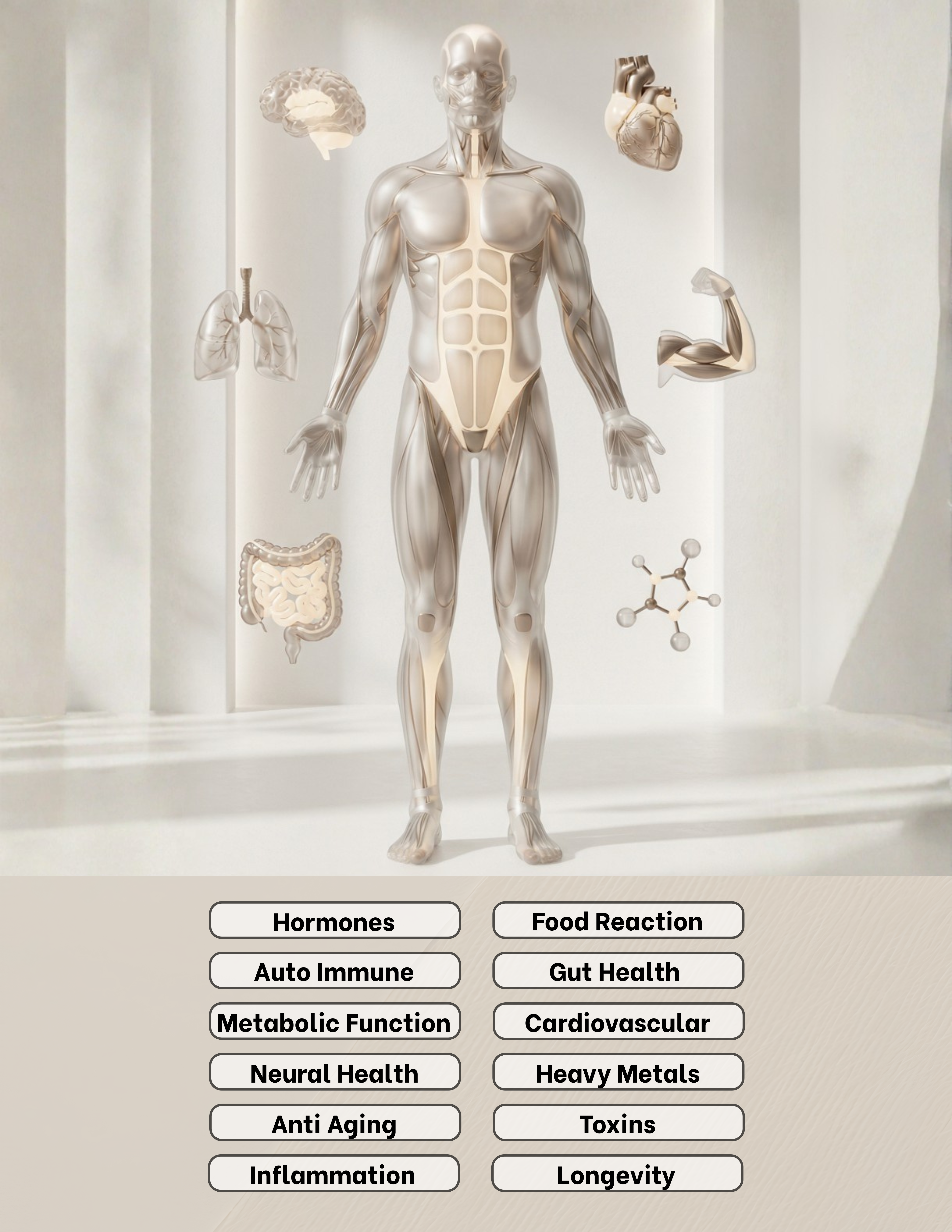 Body Lab biomarker assessment