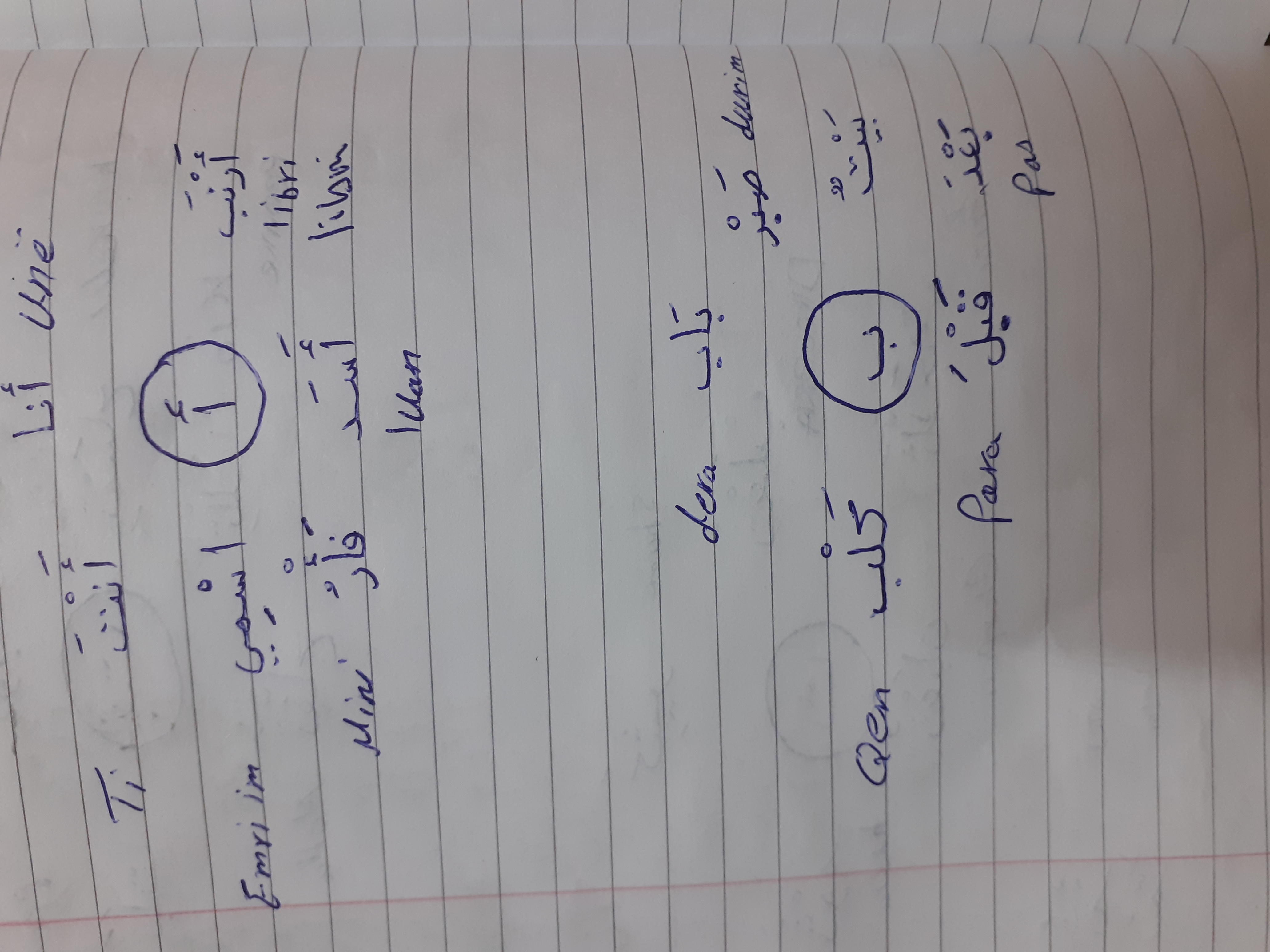 أرلند