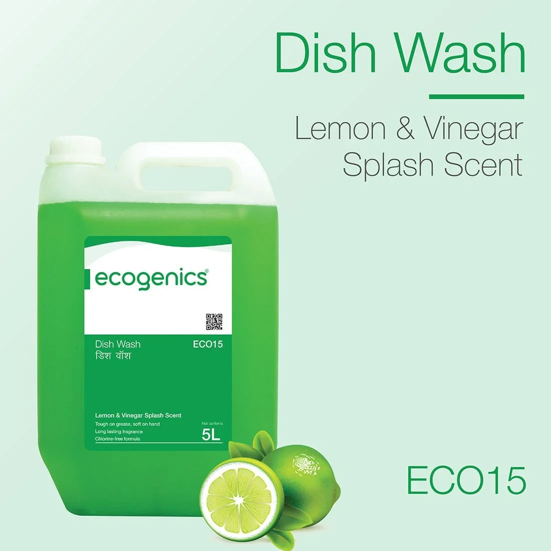 DISH WASH ECOGENICS