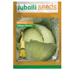 Cabbage – GLORIA F1- Hybrid Seed