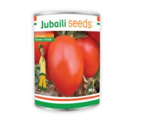 Tomato – UC82/ OP Seed