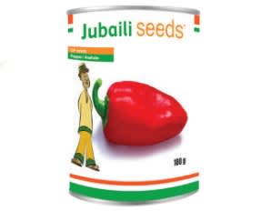 PEPPER ANAHEIM/ OP Seed