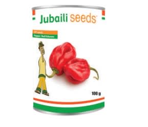 pepper Red Habanero/ OP Seed