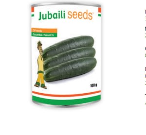 Cucumber – POINSETTE/ OP Seed