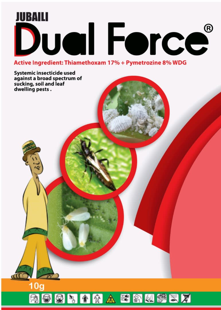 Dual Force 10g / Insecticide