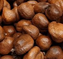 Doum Fruit (Hyphaene thebaica) / Kg