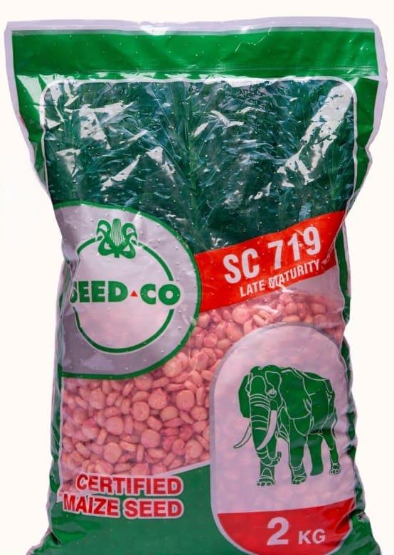 SC 719 Maize Seed Variety /Per Kg