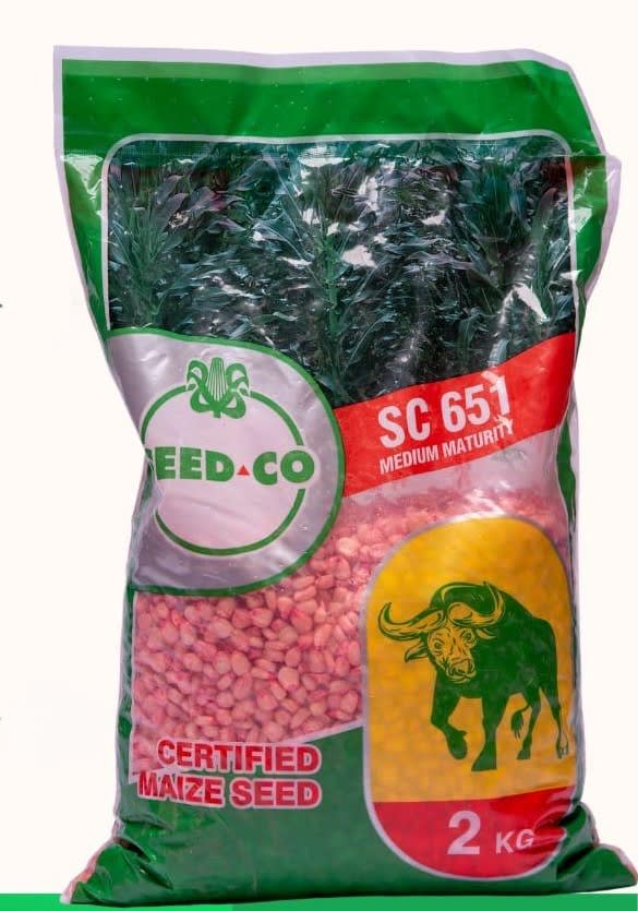 SC 651 Maize Seed /Per Kg