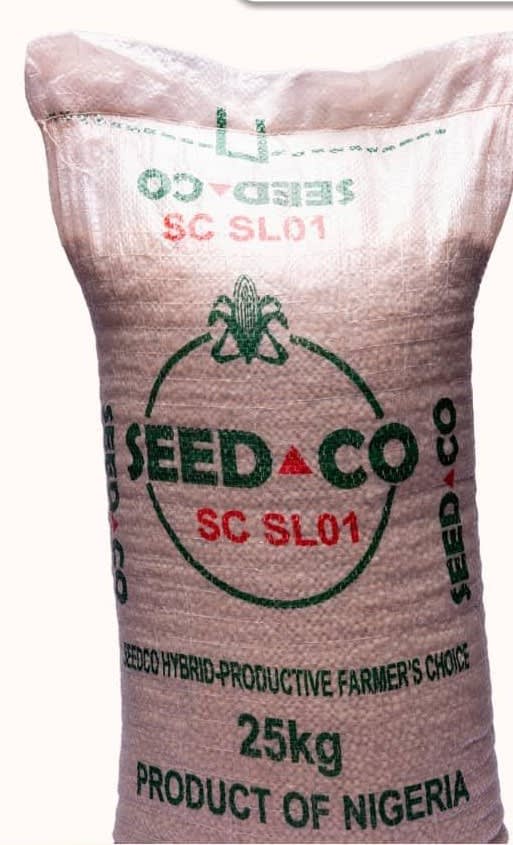 SC SL01 Soybeans Seed / Price Per Kg