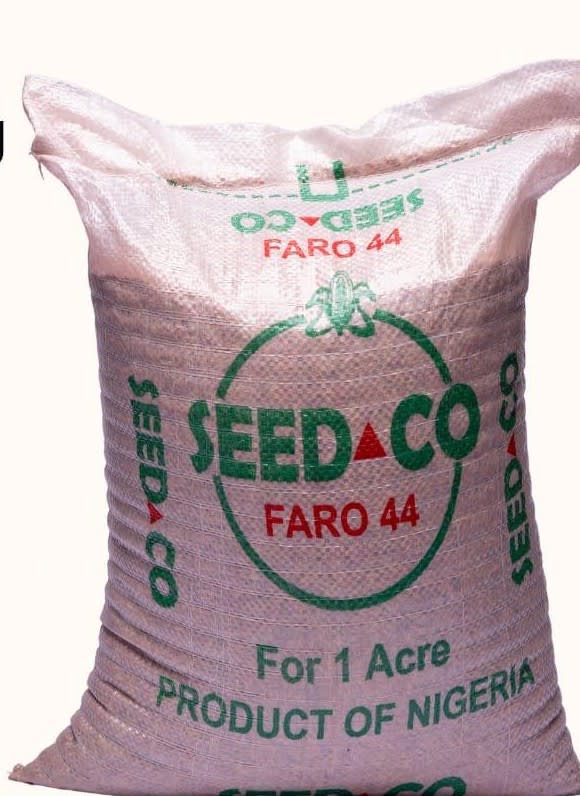 FARO 44 Rice Seed /Price Per Kg