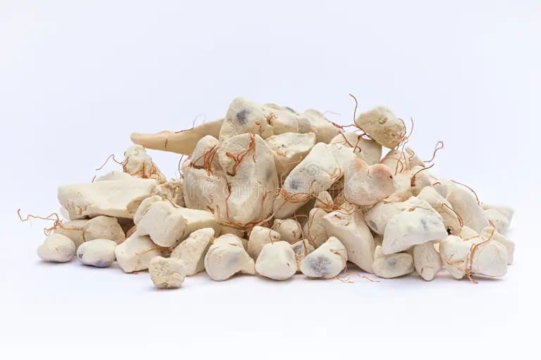 Baobab Fruit (Adansonia digitata)/ Kg