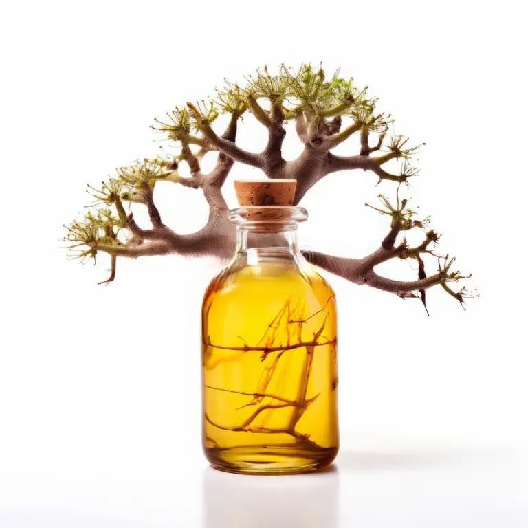 Baobab Oil (Adansonia digitata) / Lt