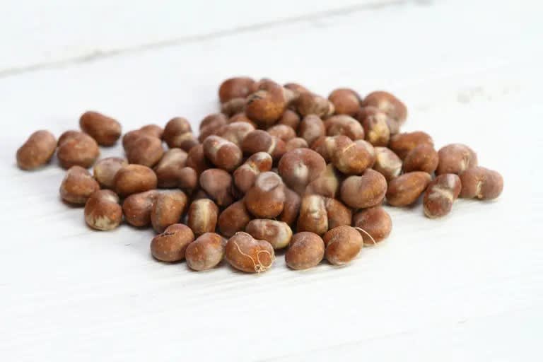 Baobab Seed (Adansonia digitata)/ kg