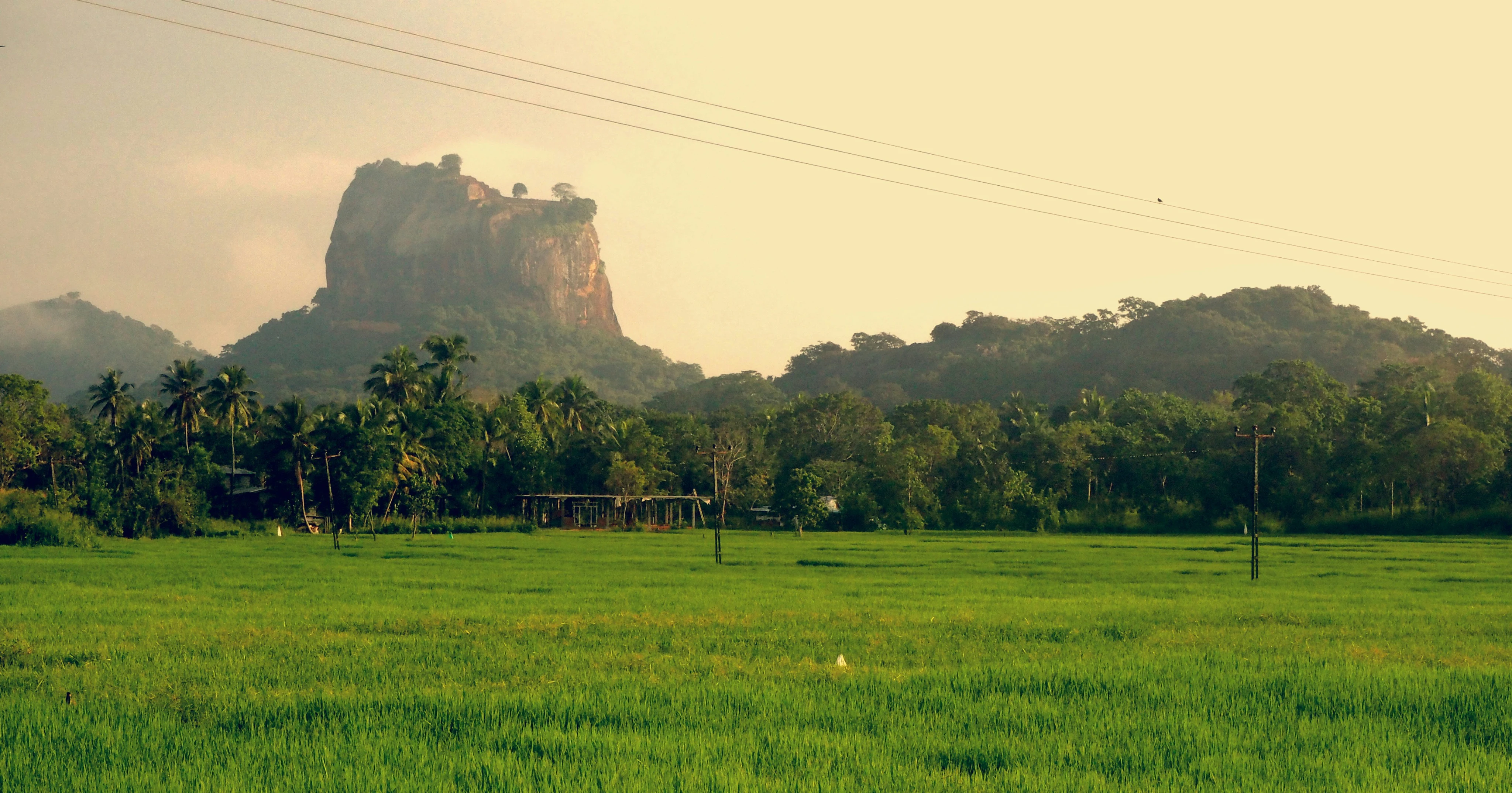 Plan Your Sri Lanka Trip With Us