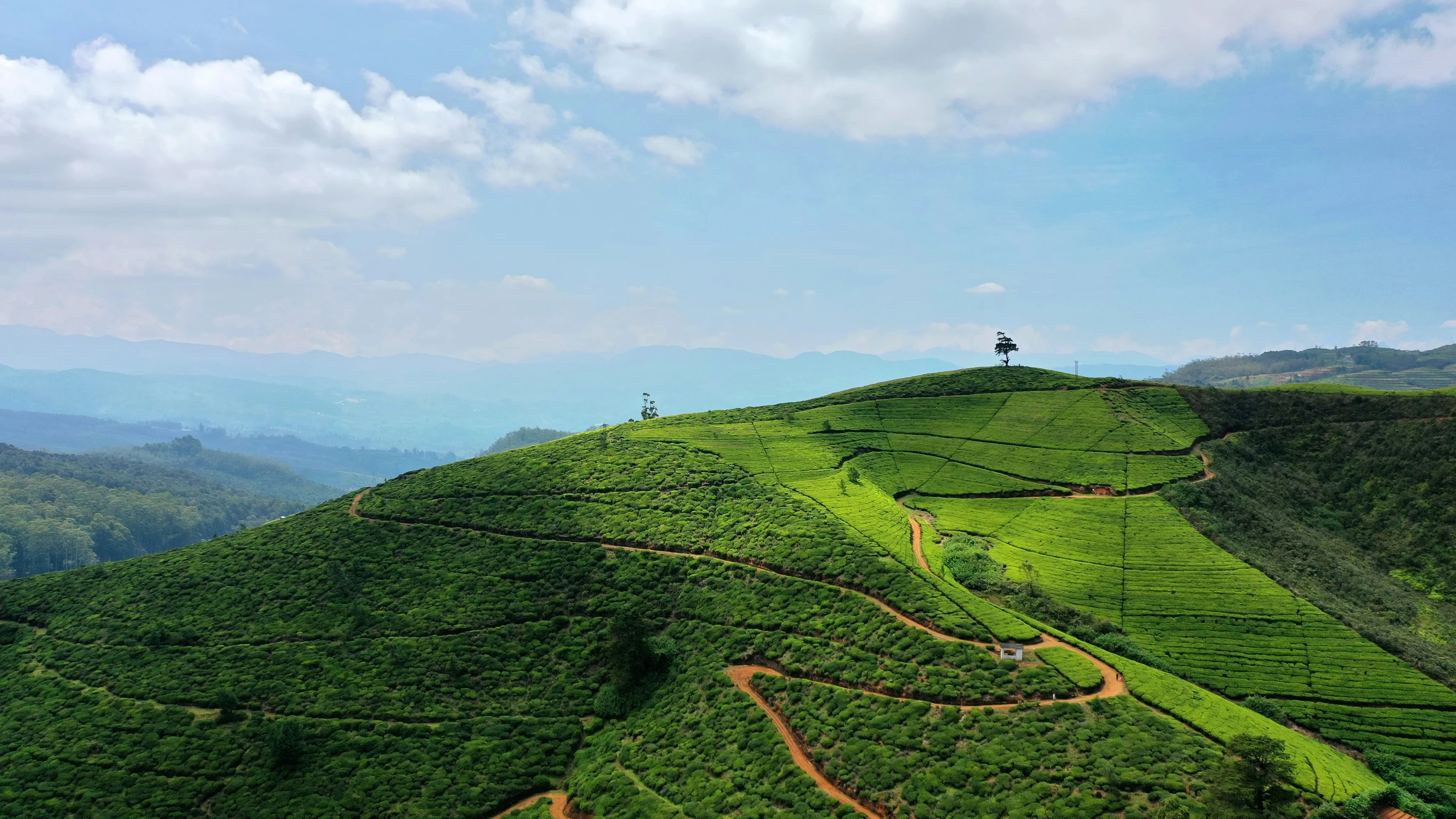Ready to Explore Sri Lanka?
