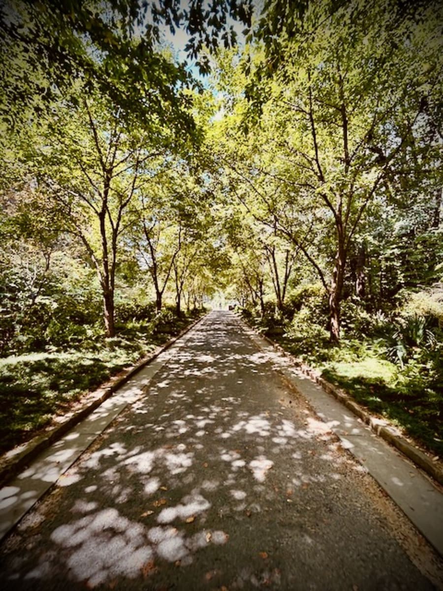 Duke Gardens
