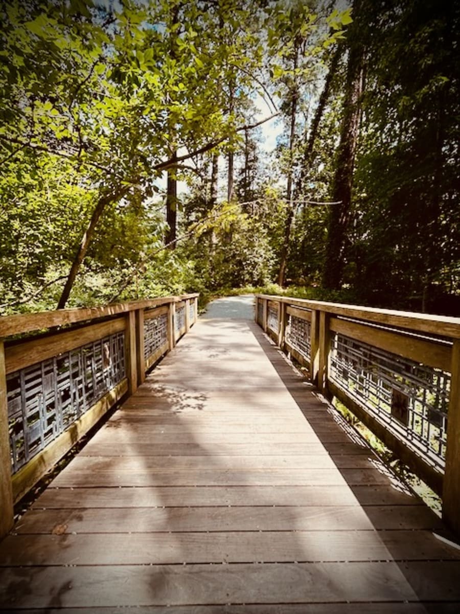 Duke Gardens