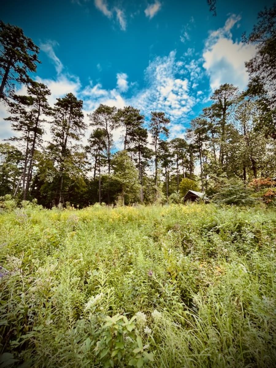 Duke Gardens