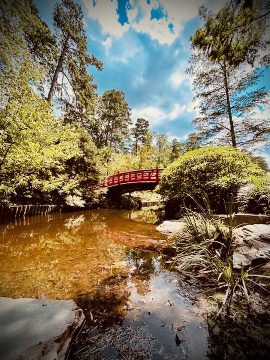 Duke Gardens