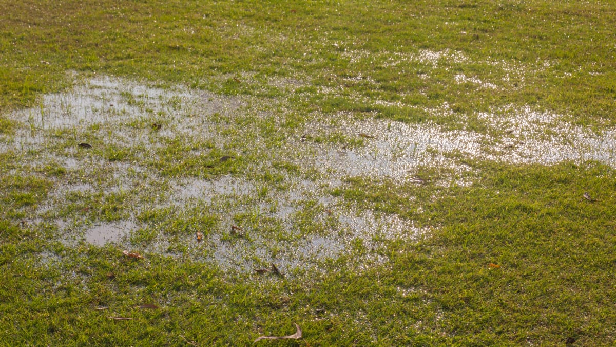Refoulement d'eau sur le champ d'épuration