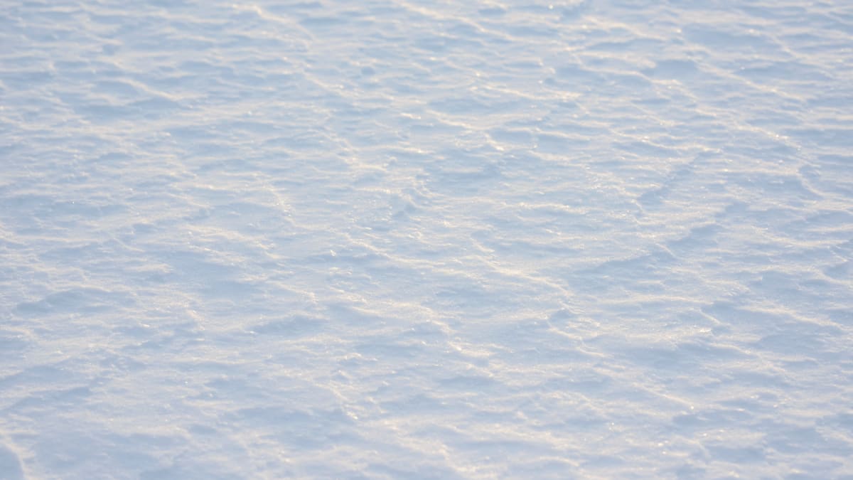 Neige