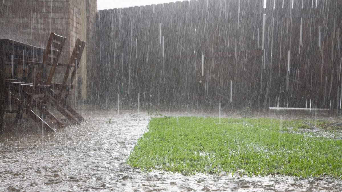 Pluie abondante