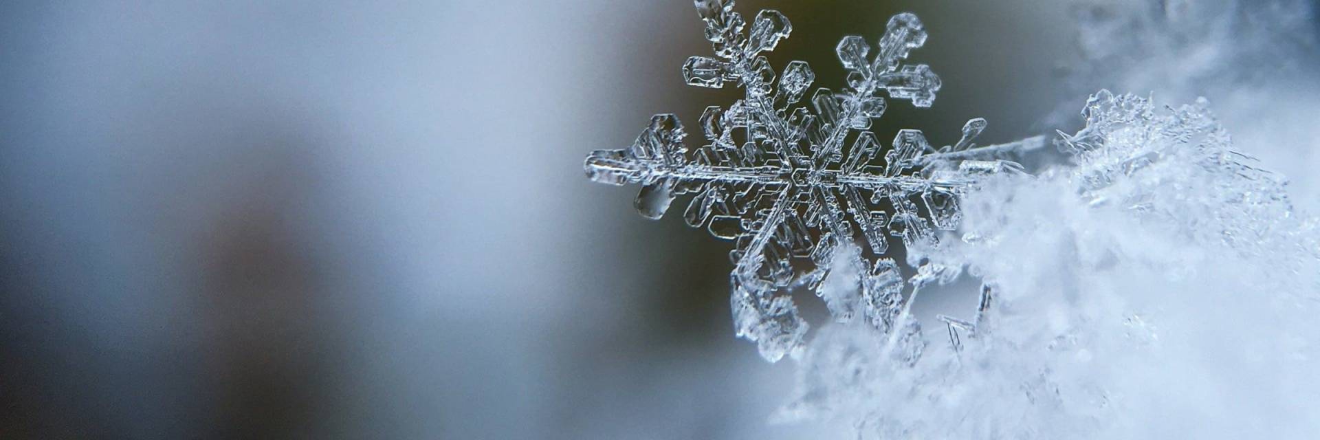 Preventing and resolving frozen septic tank problems in winter