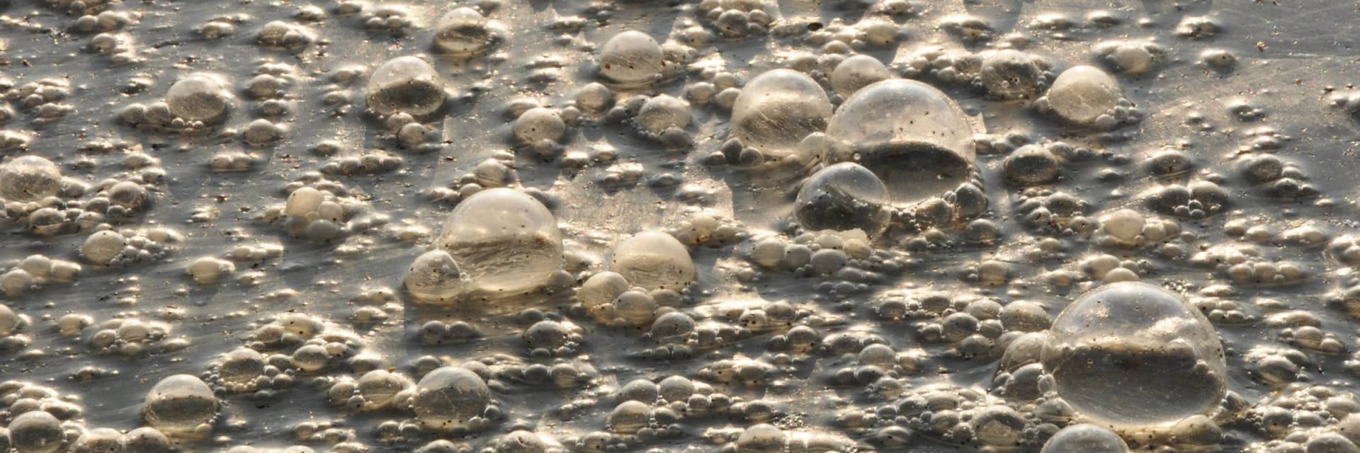 L’impact de la pollution des fosses septiques sur l’eau