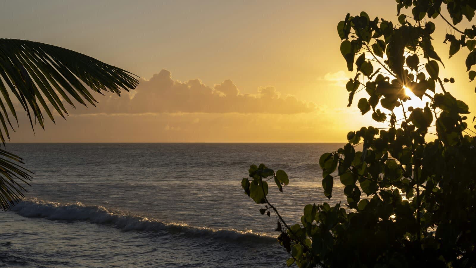 Tropical beach sunset