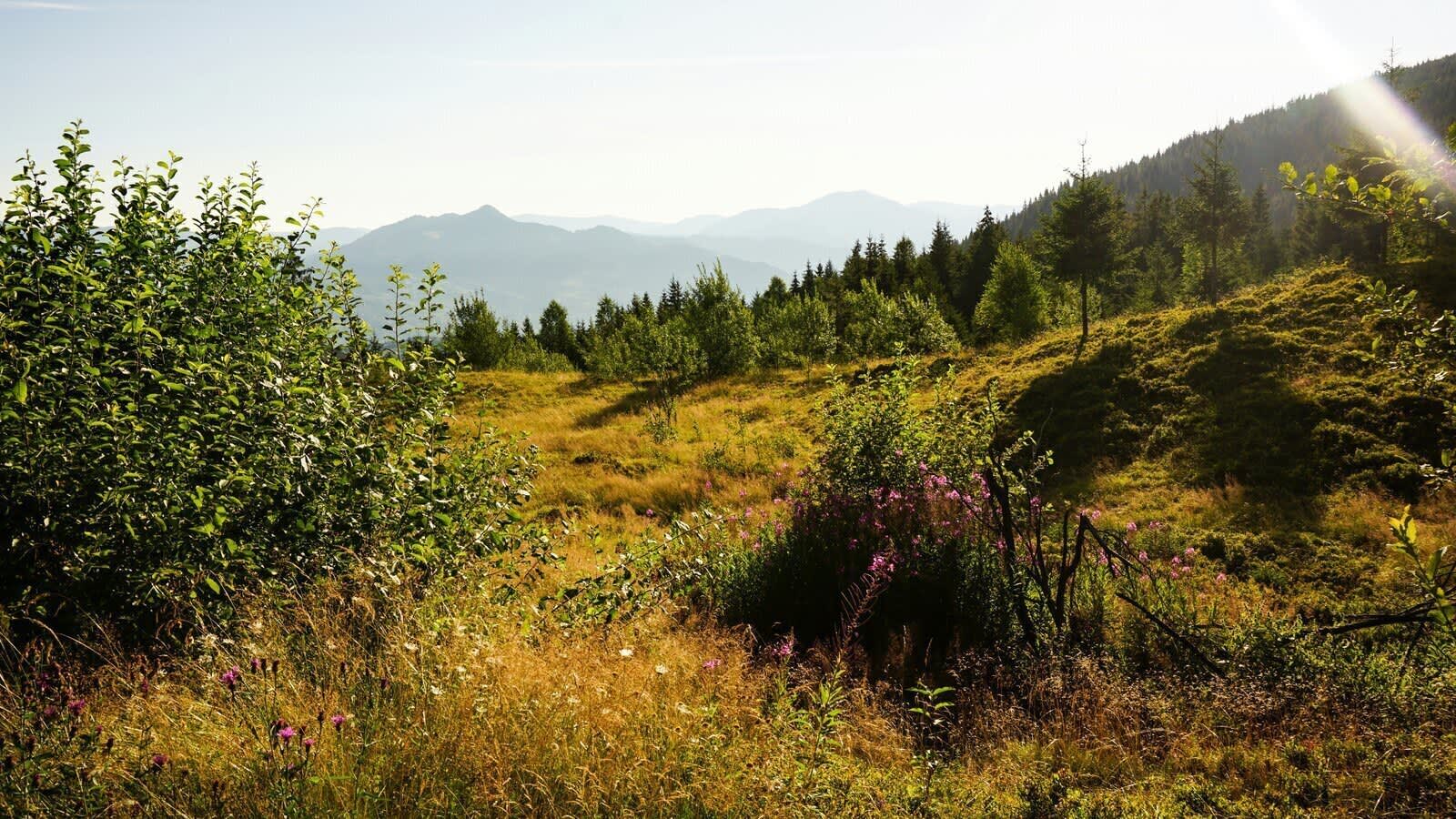 Mountain landscape