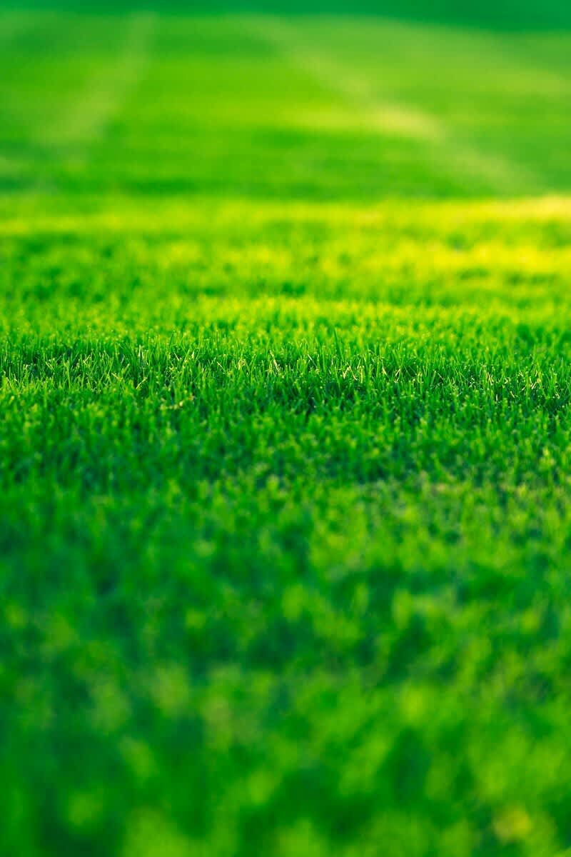 Green landscaping
