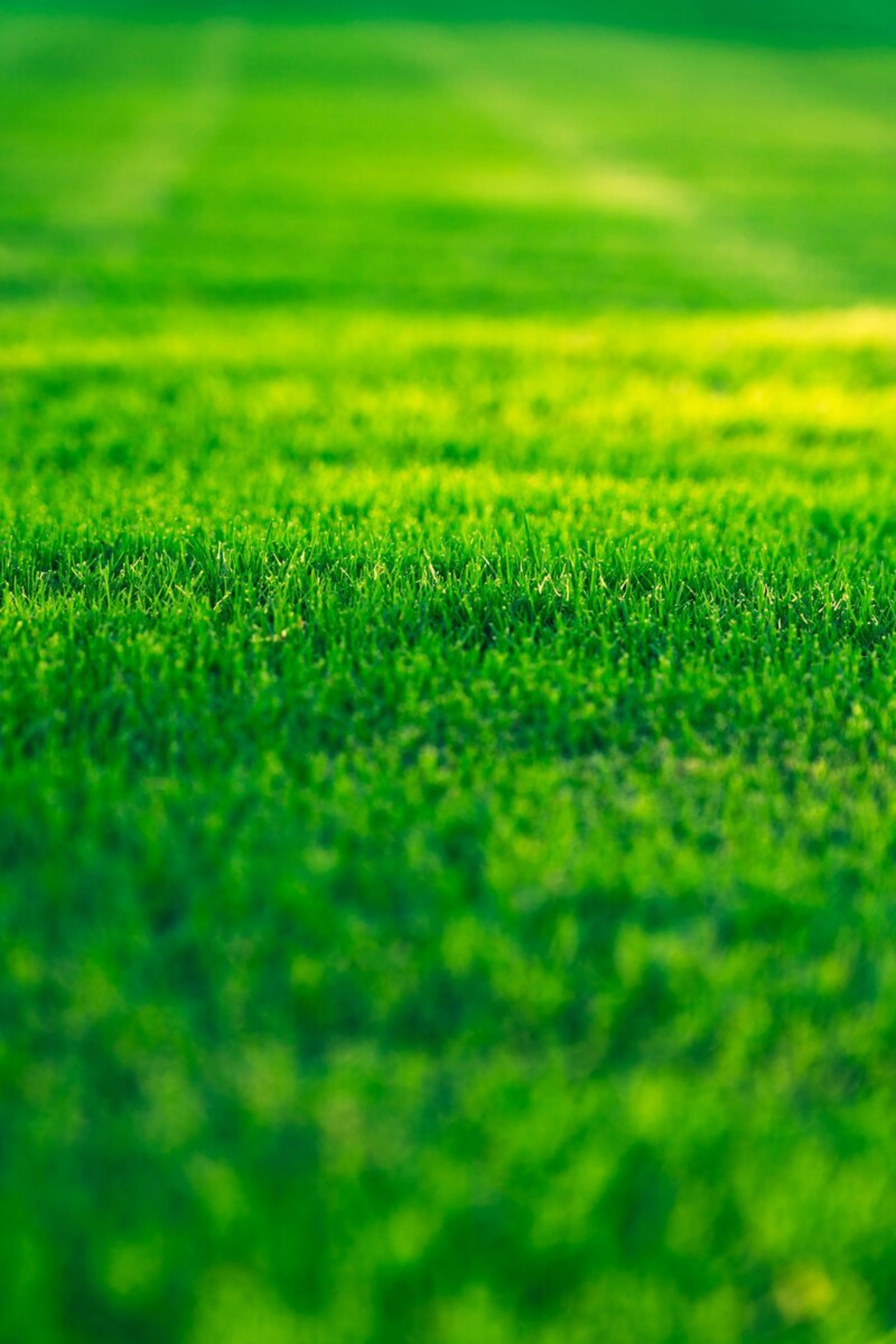 Green landscaping