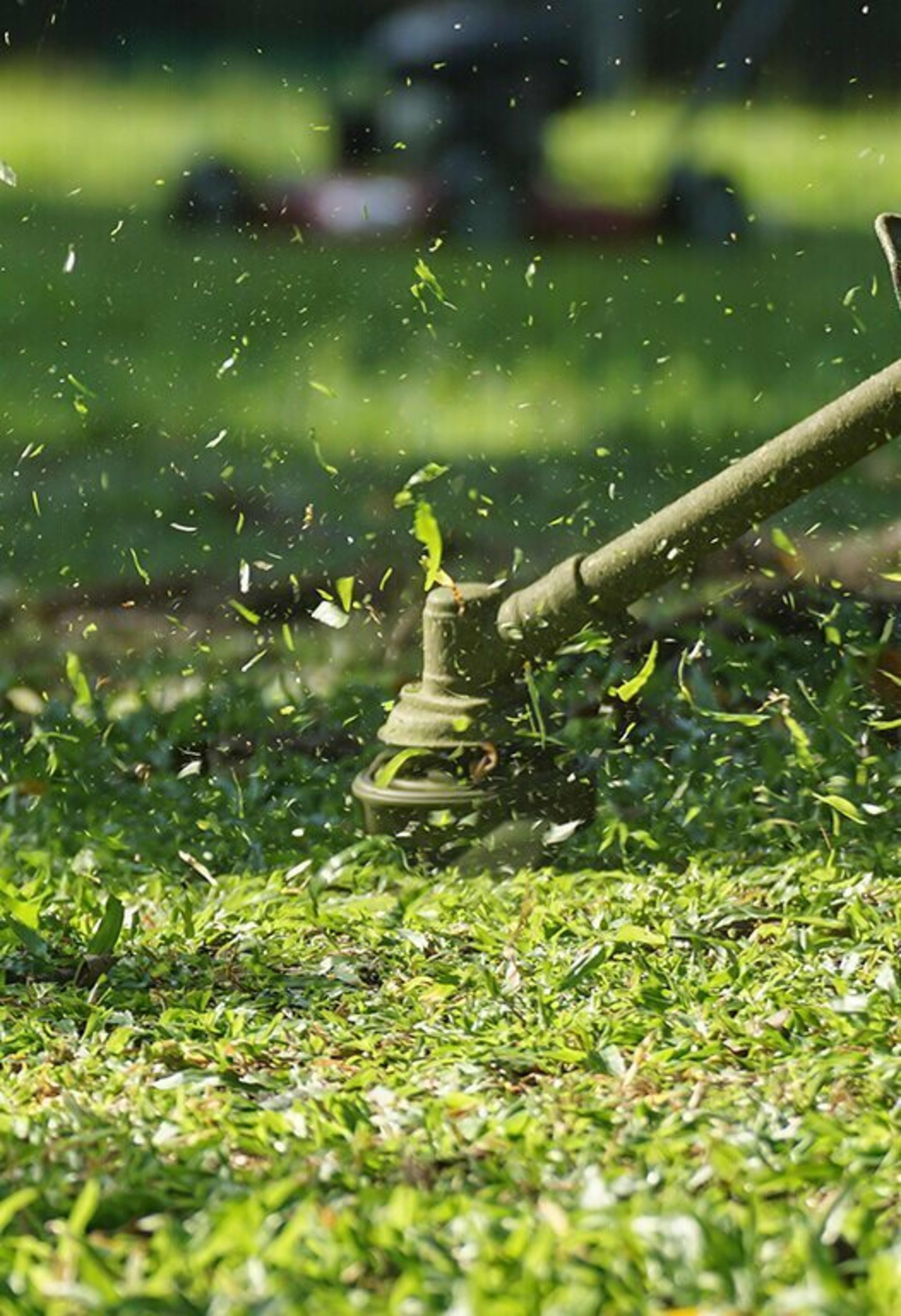 Lawn Services