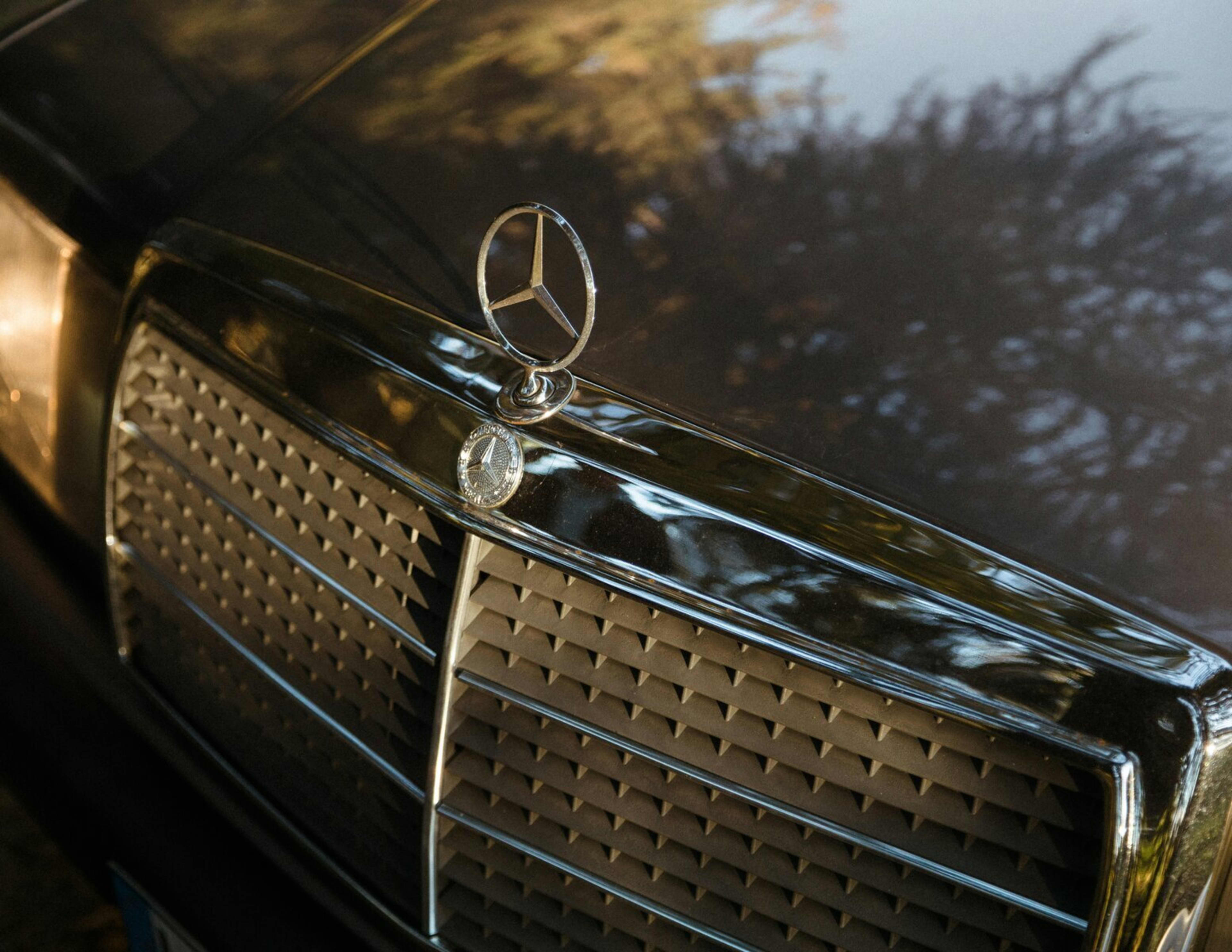 Ceramic Coating — SUV