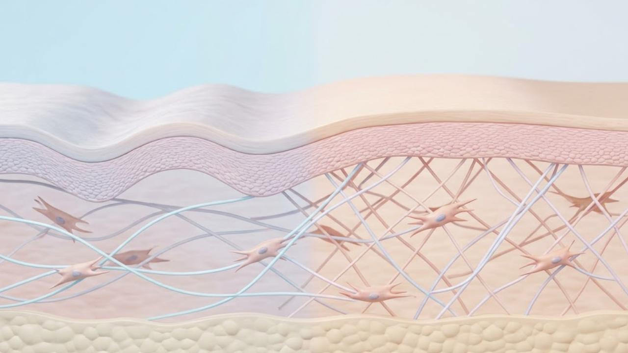 Collagen Stimulator