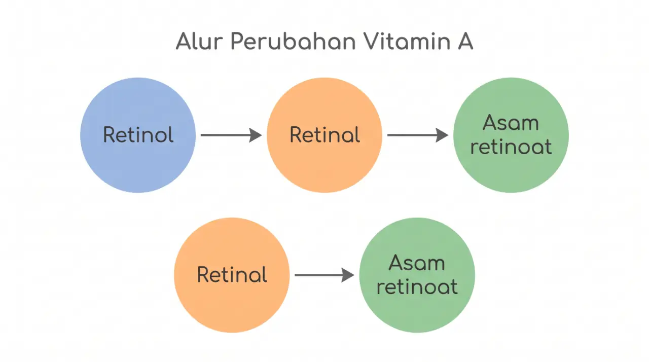 retinol vs retinal