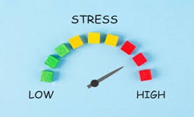 A speedometer with colorful blocks

AI-generated content may be incorrect.